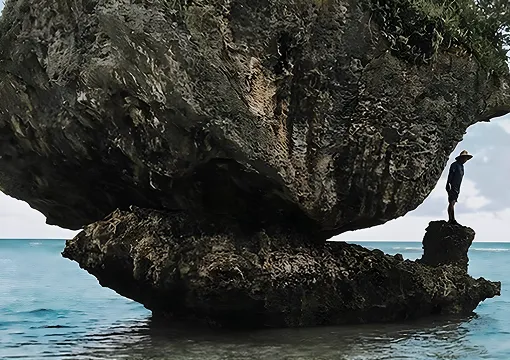 マッシュルームロック