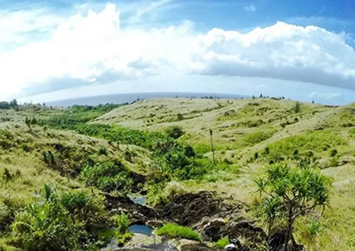 プリースト（司祭）プール